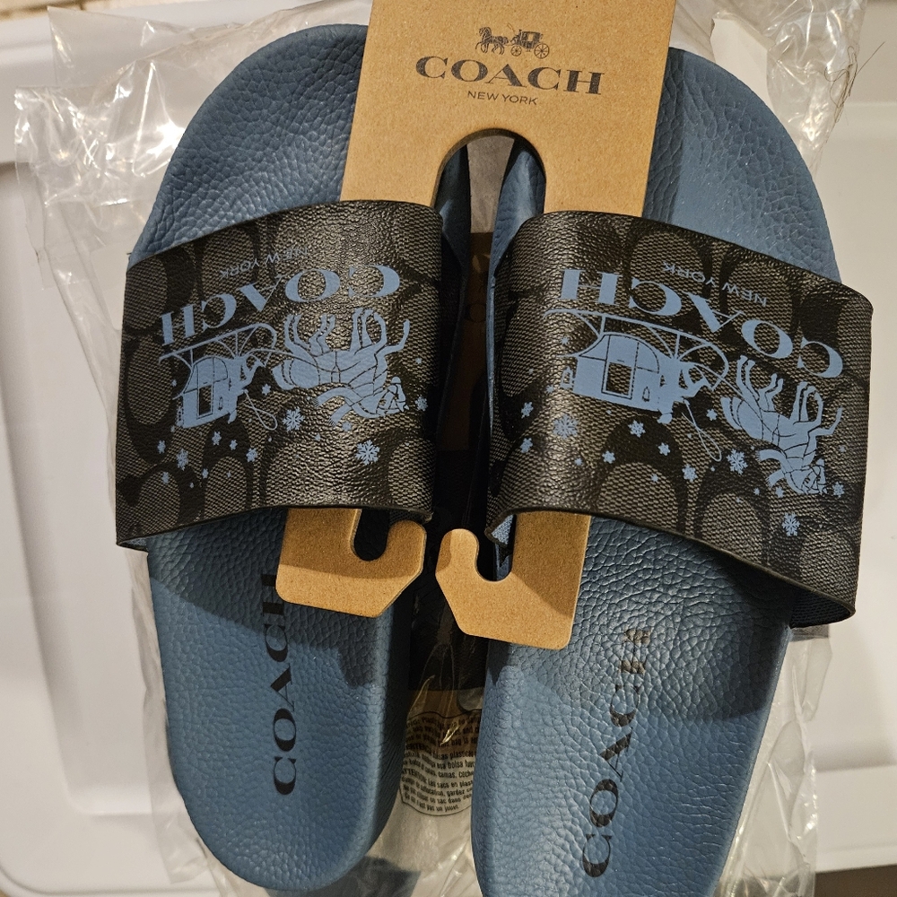 Coach slides